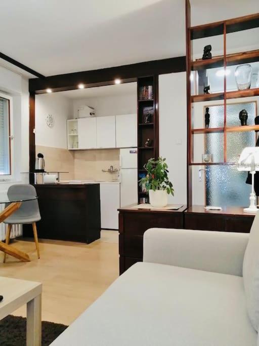 Apartament Dorcol Hideaway Belgrad Zewnętrze zdjęcie